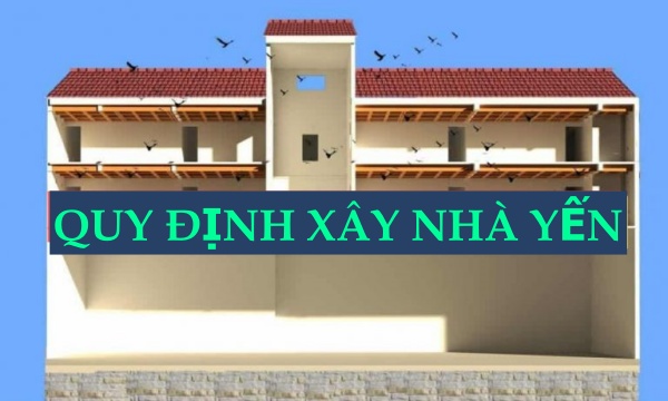 quy định xây nhà yến