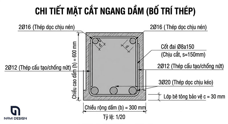 Bo-tri-thep-dam-theo-tiet-dien-ngang
