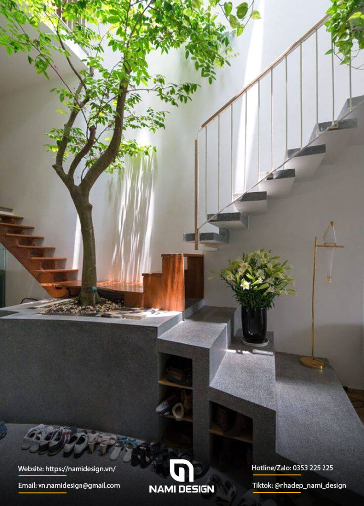 Mang-xanh-tai-chieu-nghi