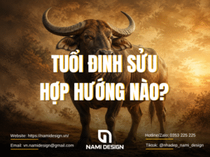 Tuổi Đinh Sửu hợp hướng nào