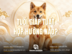 Tuổi Giáp Tuất hợp hướng nào