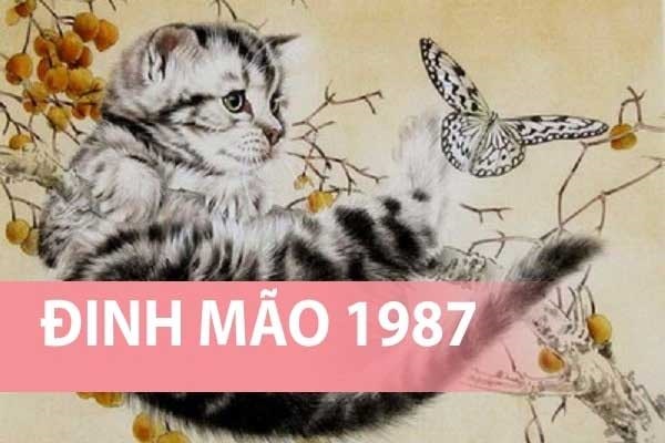 tuổi đinh mão